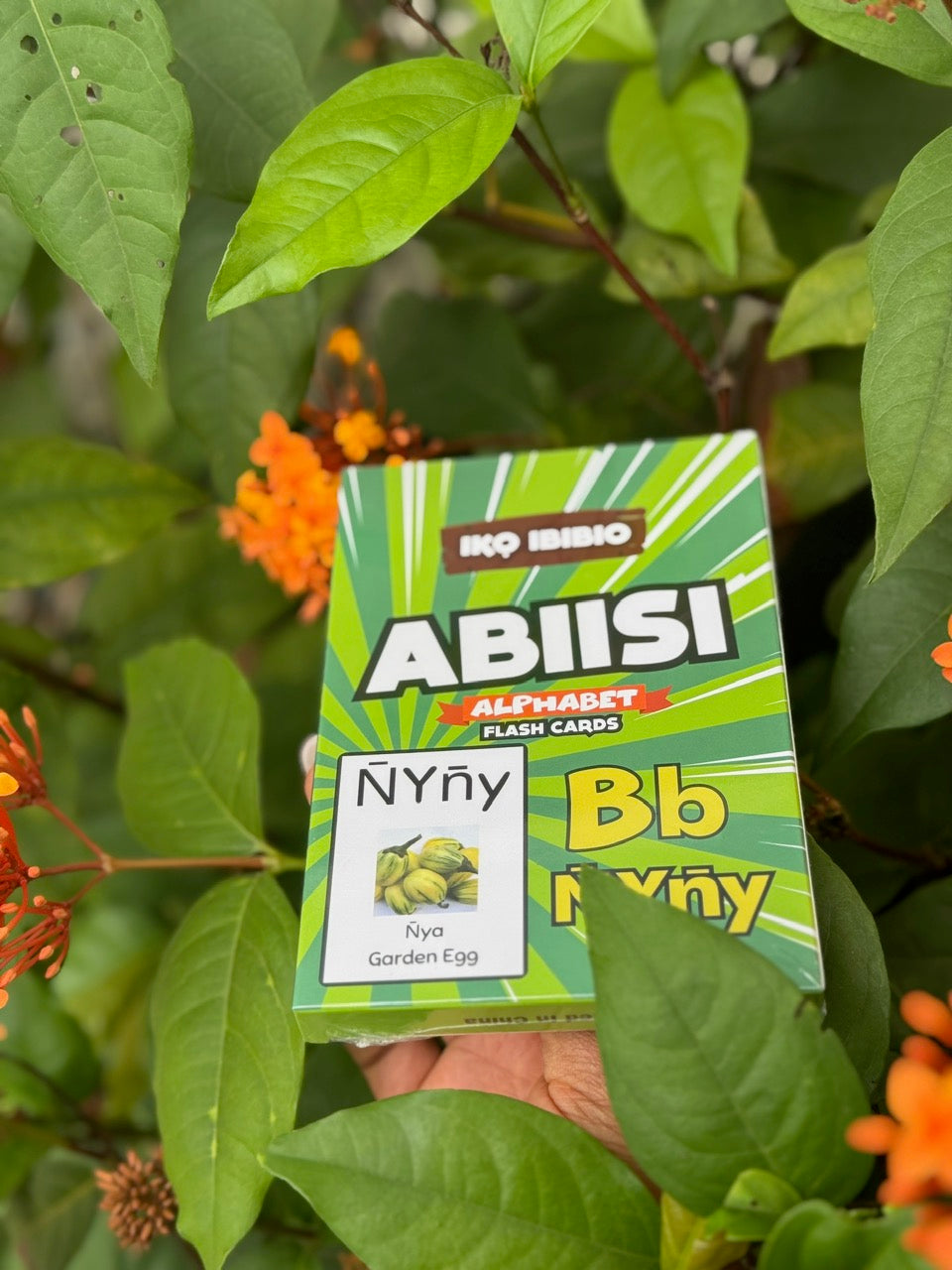 Abiisi – Alphabet Flashcards in Ibibio