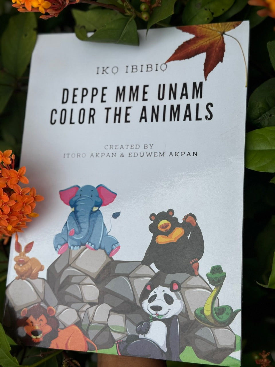 Deppe mme Unam - Colour the Animal