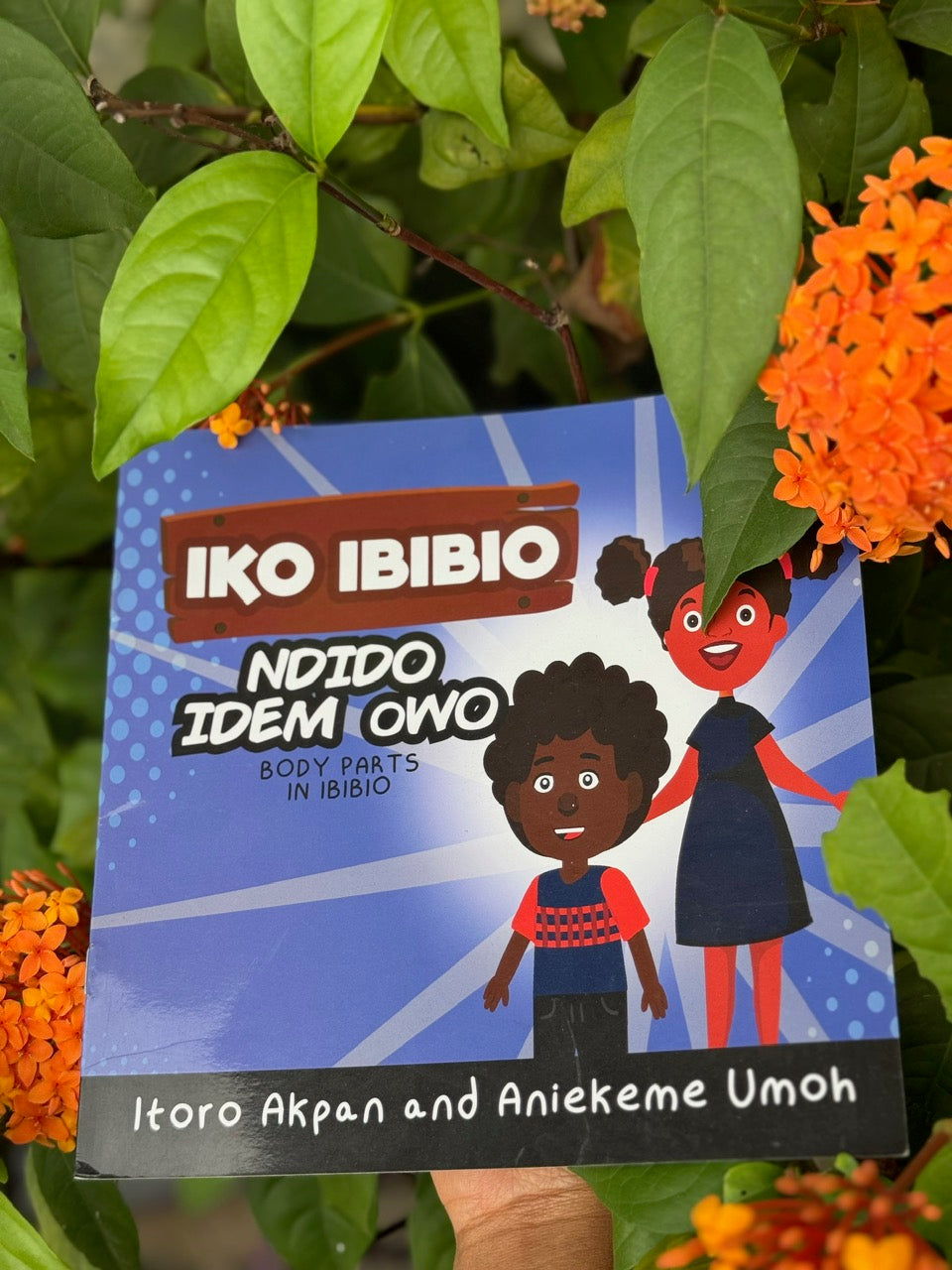 Ndido Idem Owo - Body Parts in Ibibio