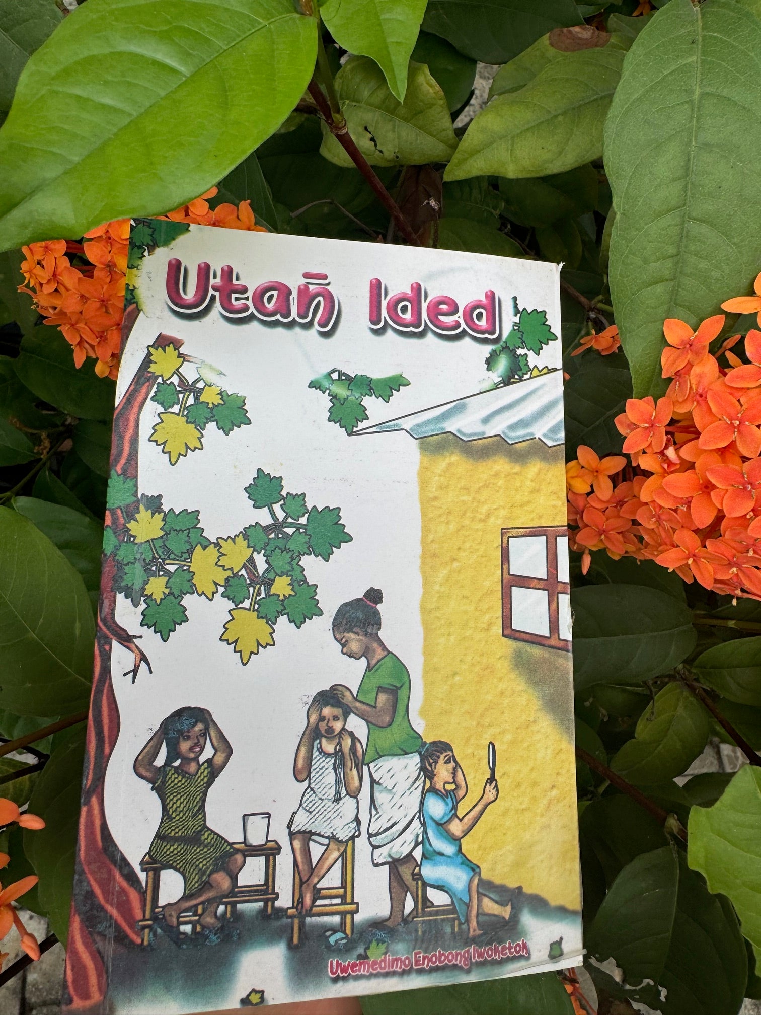 Utan̄ Ided - Ibibio Storybook