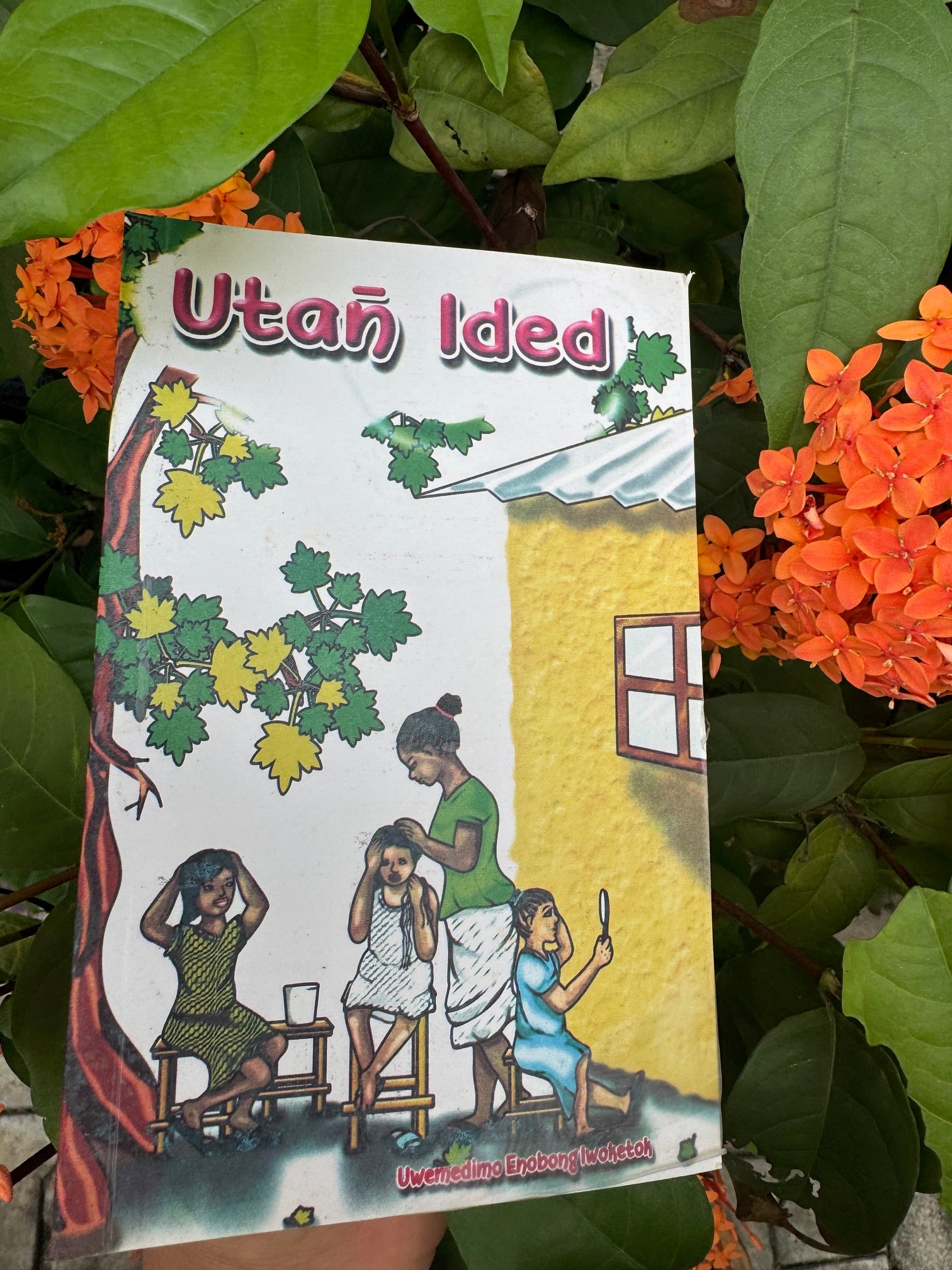 Utan̄ Ided - Ibibio Storybook