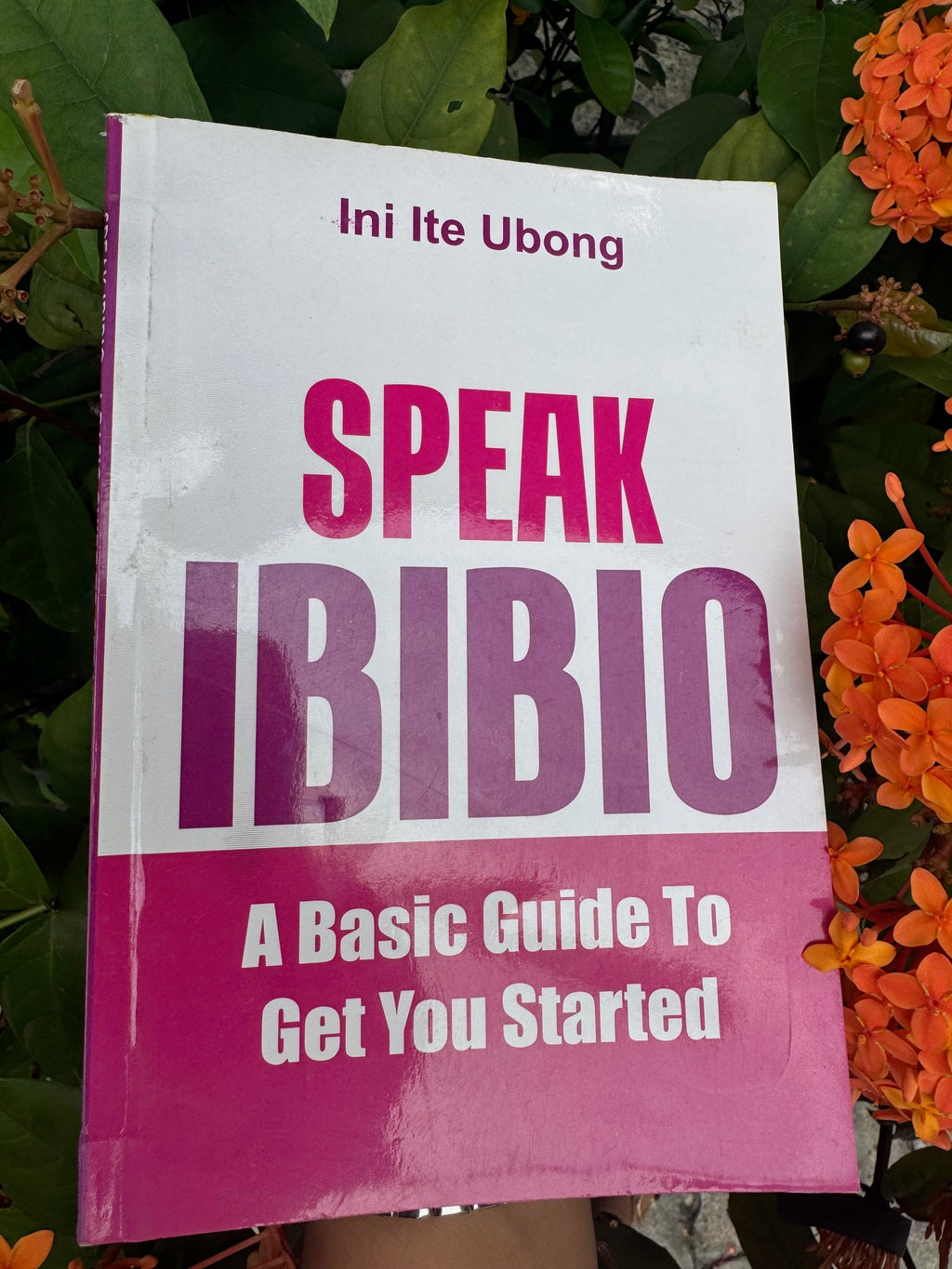 Speak Ibibio: A Basic Guide to Get You Started