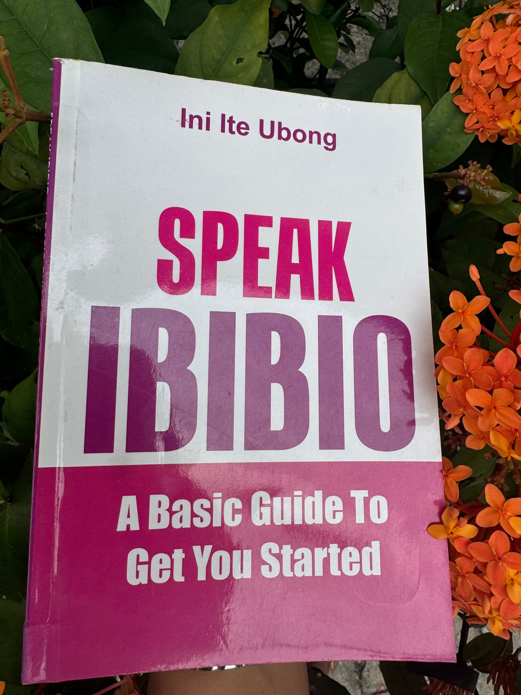 Speak Ibibio: A Basic Guide to Get You Started